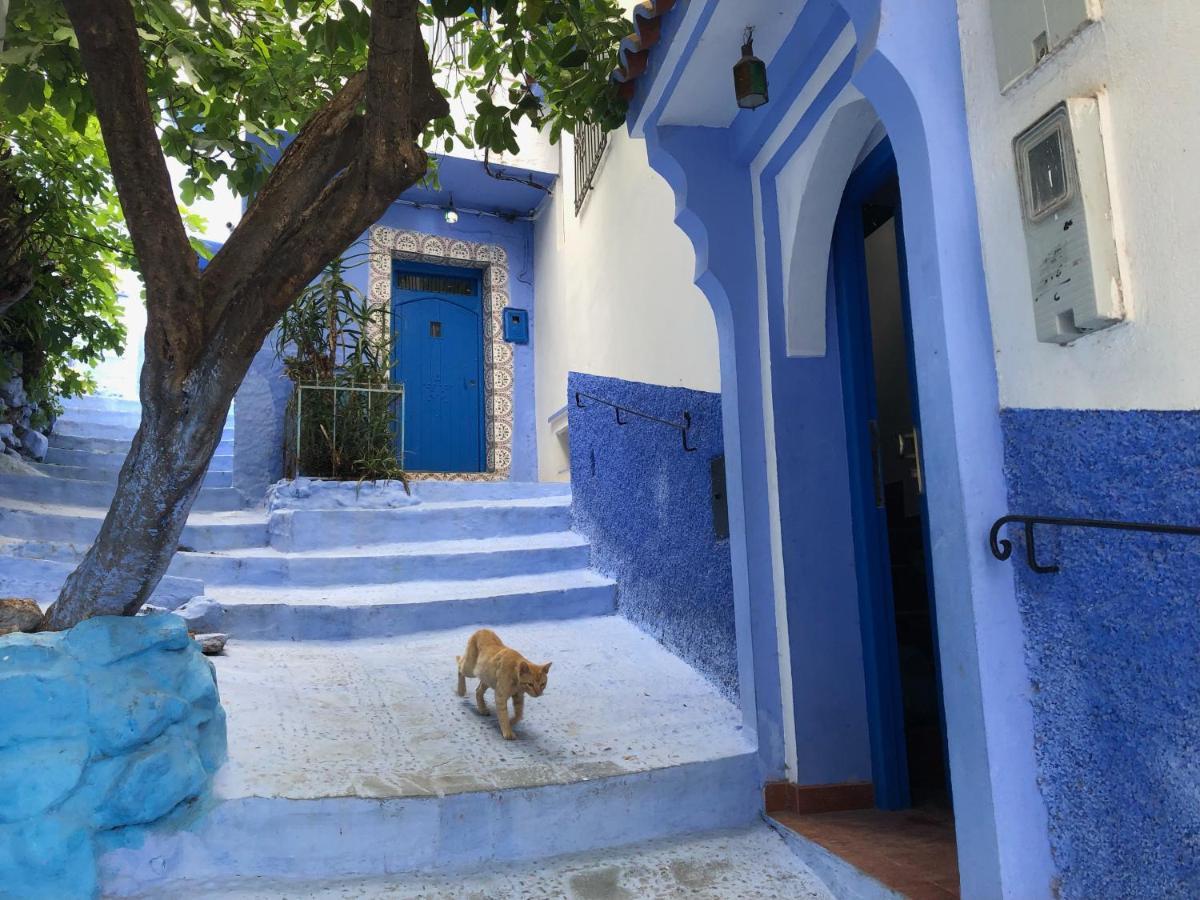 Dar Fatima Bed and Breakfast Chefchaouen Εξωτερικό φωτογραφία